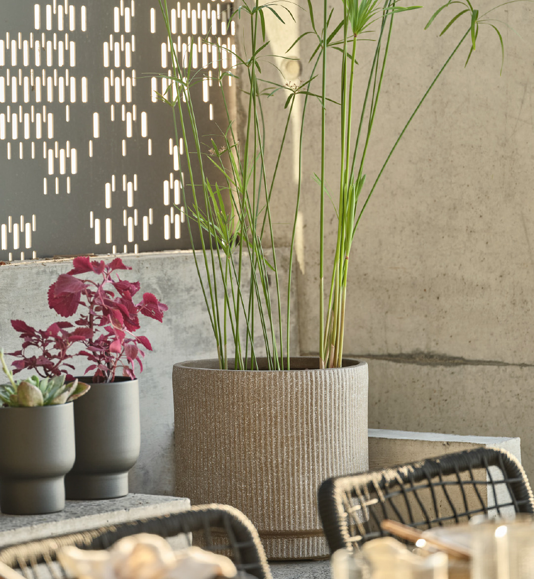 Smukt opdækket middagsbord med havekrukke UGGLA og flotte planter i baggrunden