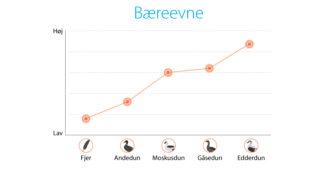 Bæreevne