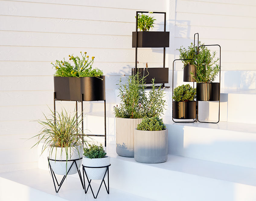 SIMMA, RINGTROST, AND, ILDROVFLUE og SYRSA havekrukker på en trappe Forskellige plantekasser, blomsterpotter og havekrukker på en trappe